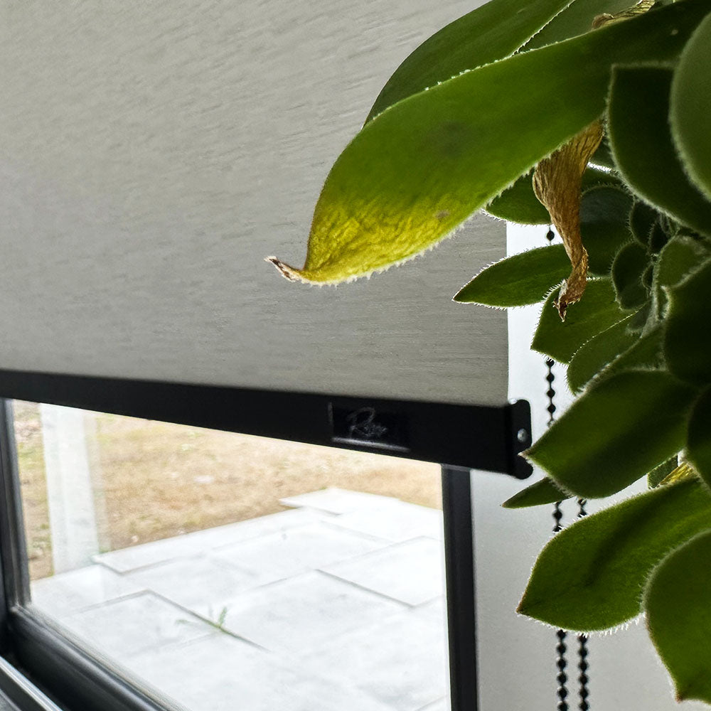 Cortinas Rolzzo