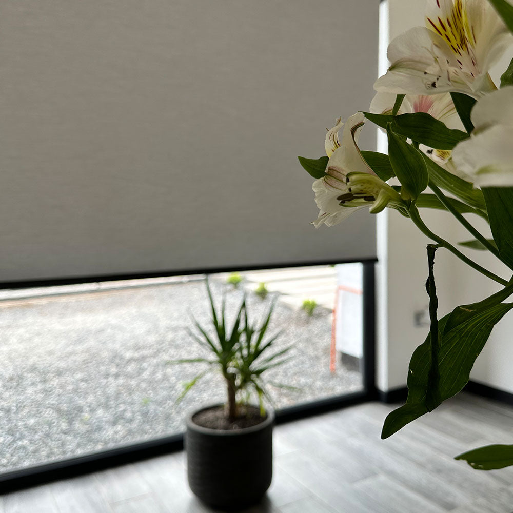 Cortinas Rolzzo